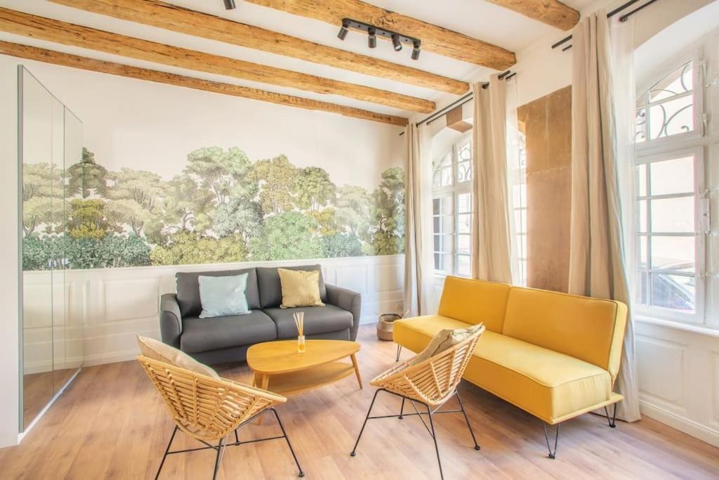 La Halte Strasbourgeoise - Superbe Appt Pres De La Petite France Appartement Buitenkant foto